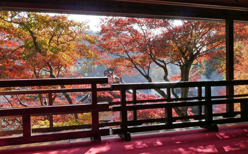 柳谷観音　上書院から眺める紅葉