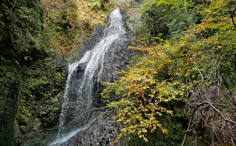 京都・京北　滝又の滝と石仏群の黄葉