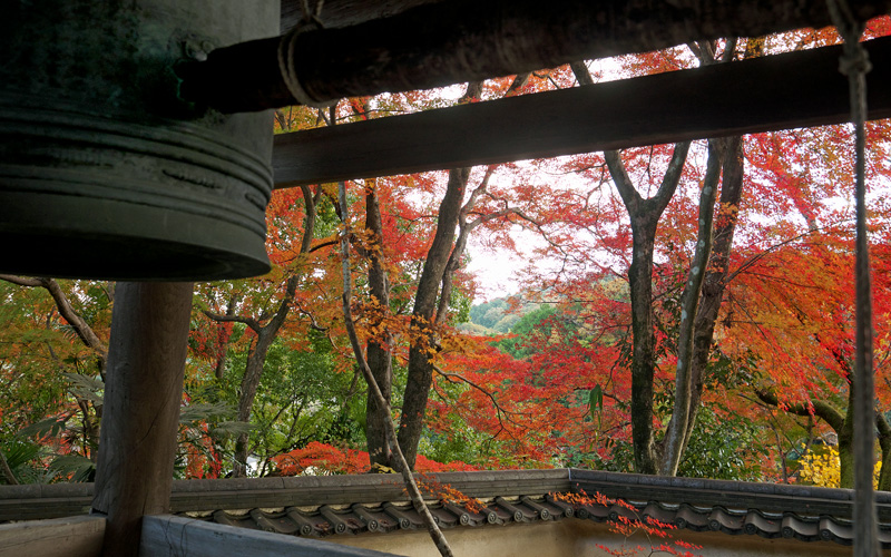京都・小塩　十輪寺の紅葉