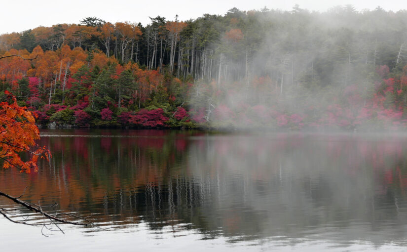 信州　白駒の池の紅葉