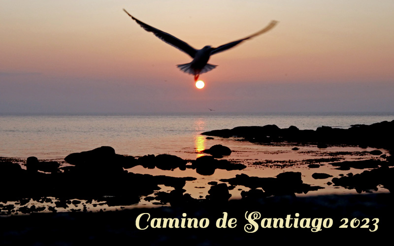 Camino de Santiago 2023 index