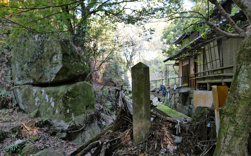 京都を歩く　白川の源流から鴨川まで