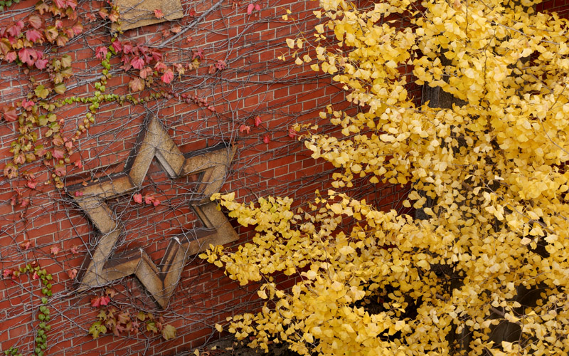 京都を歩く　京都電鉄が走った出町線、鴨東線の秋