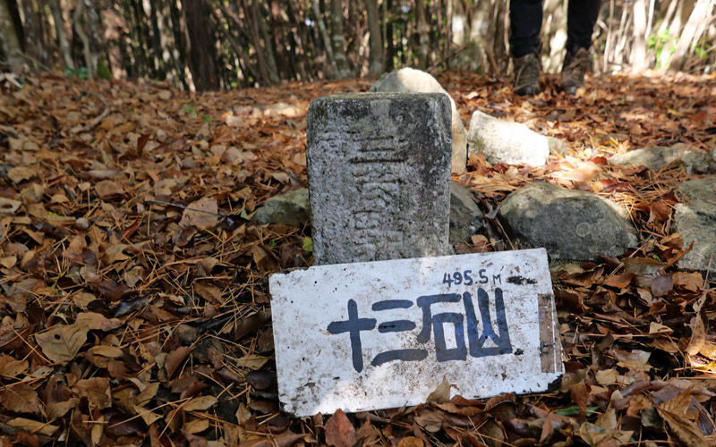 雲ヶ畑山歩き俱楽部　満樹峠から十三石山、氷室