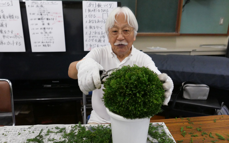 雲ヶ畑・足谷 人と自然の会　「杉玉」をつくる